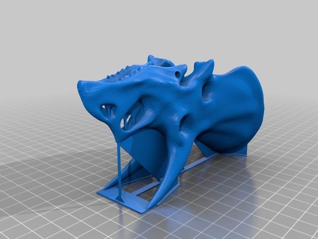 Triceratops Skull 3d model