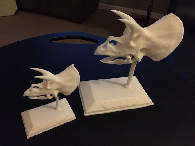 Triceratops Skull 3d model