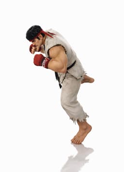 Realistic Martial Arts Fighter Character 3d model