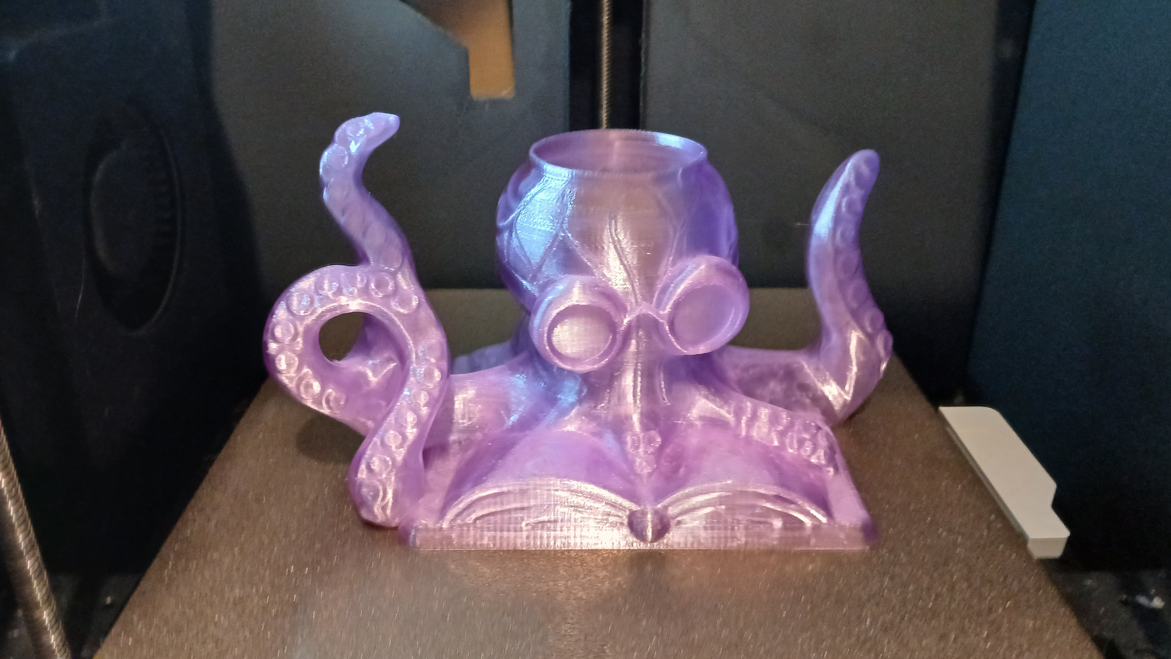 Curious Octopus Book Lamp 3d model