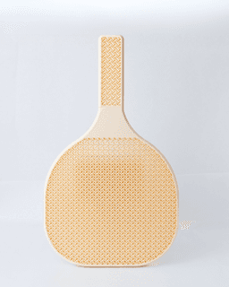 Beach Tennis Racket 3d model