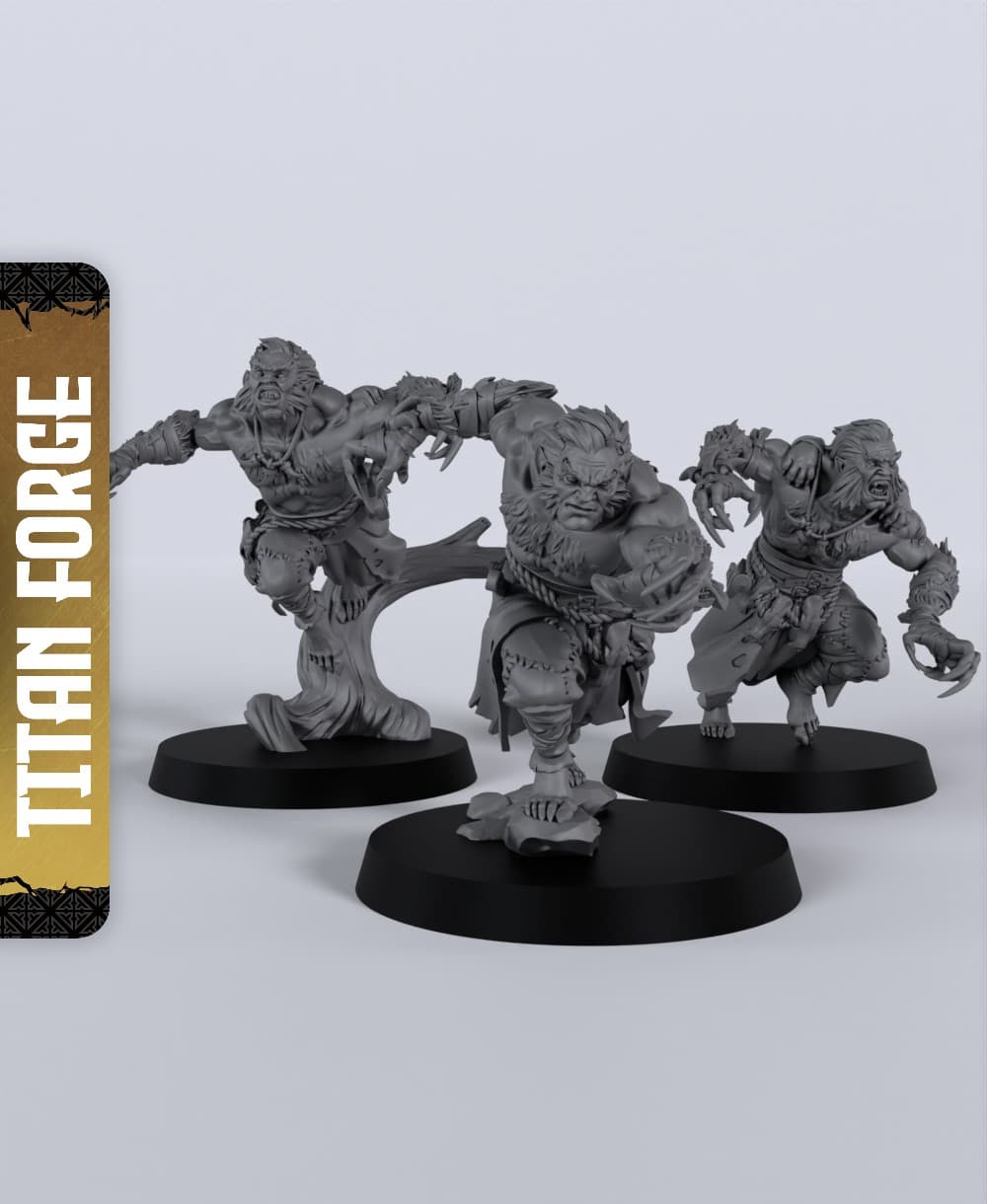 Wolf Order Chosen - With Free Dragon - 5e DnD Inspired for RPG and Wargamers 3d model
