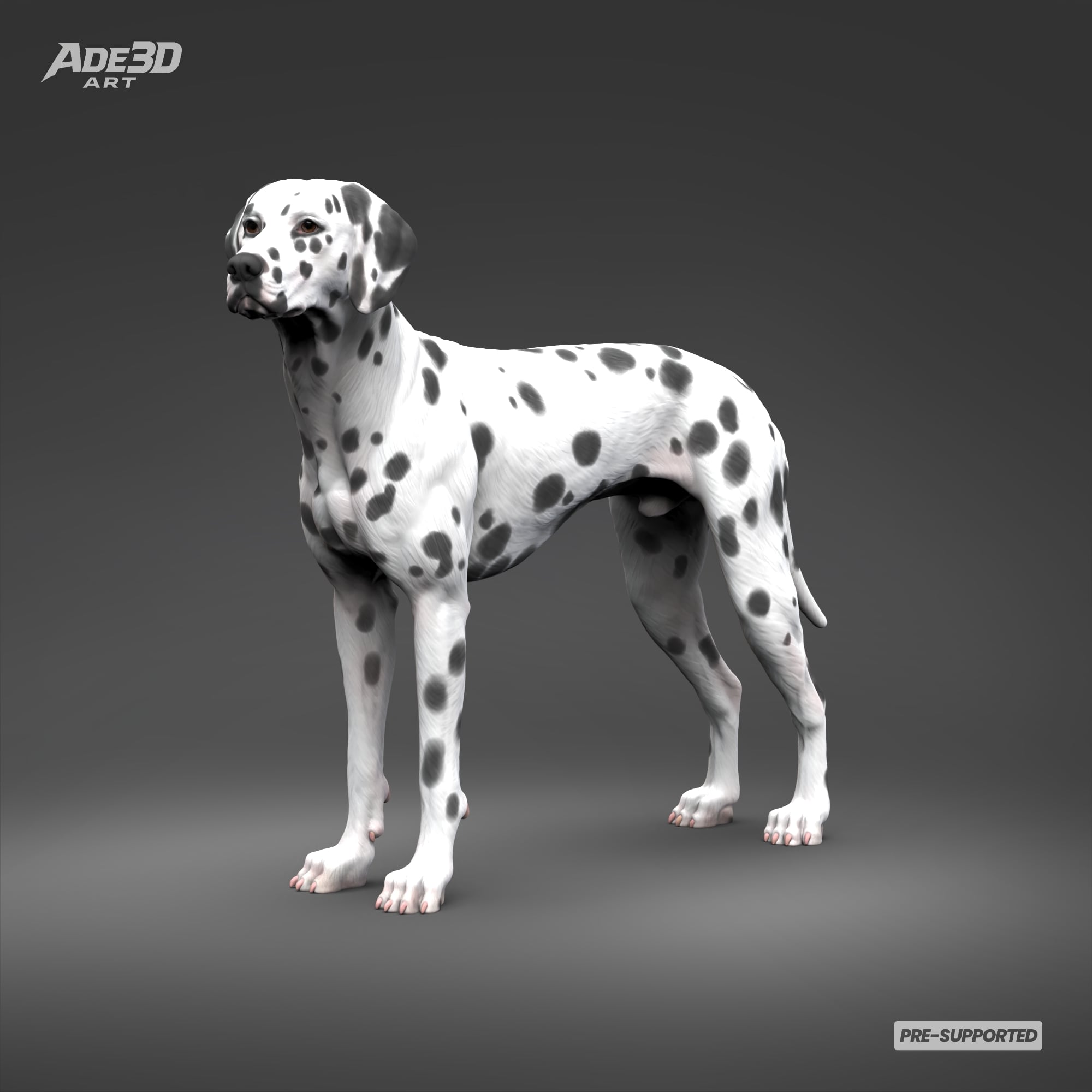 Dalmatian 3D Print Model Pose 02 3d model