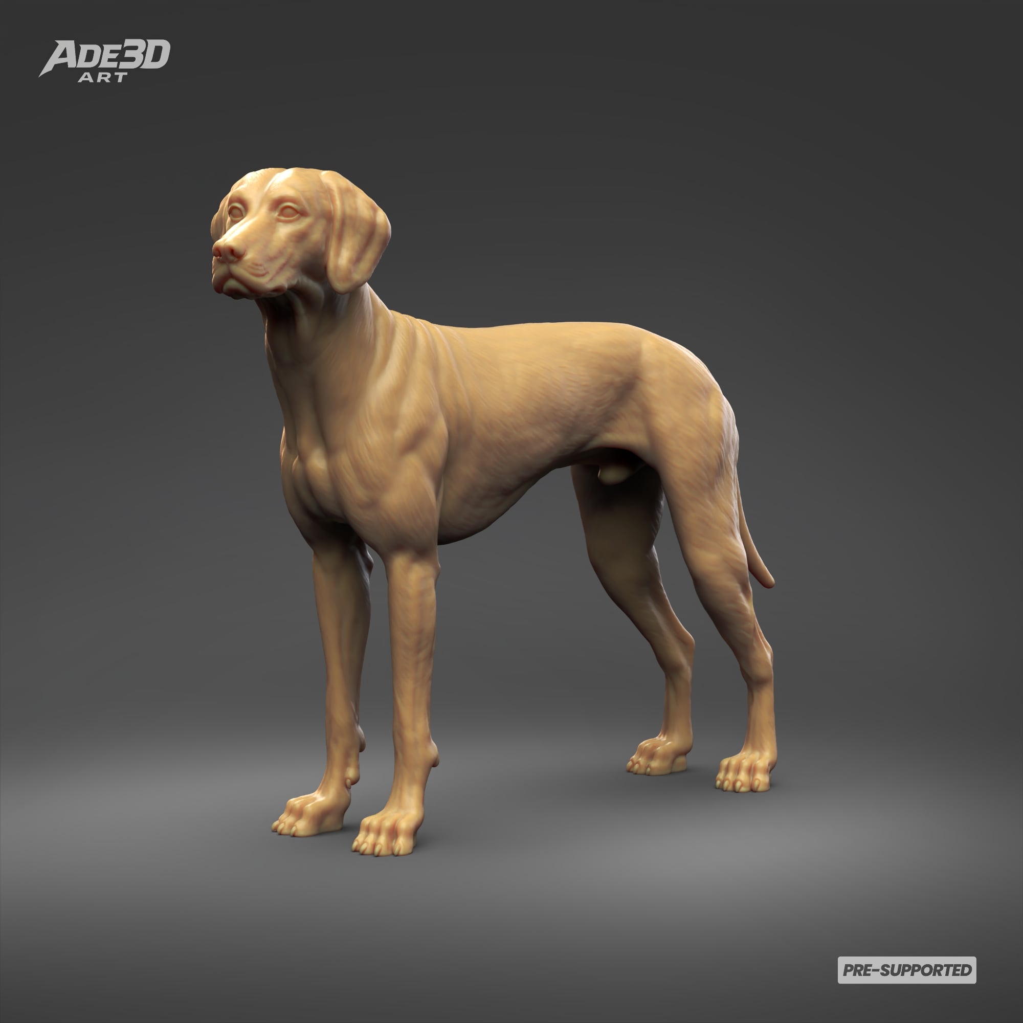 Dalmatian 3D Print Model Pose 02 3d model
