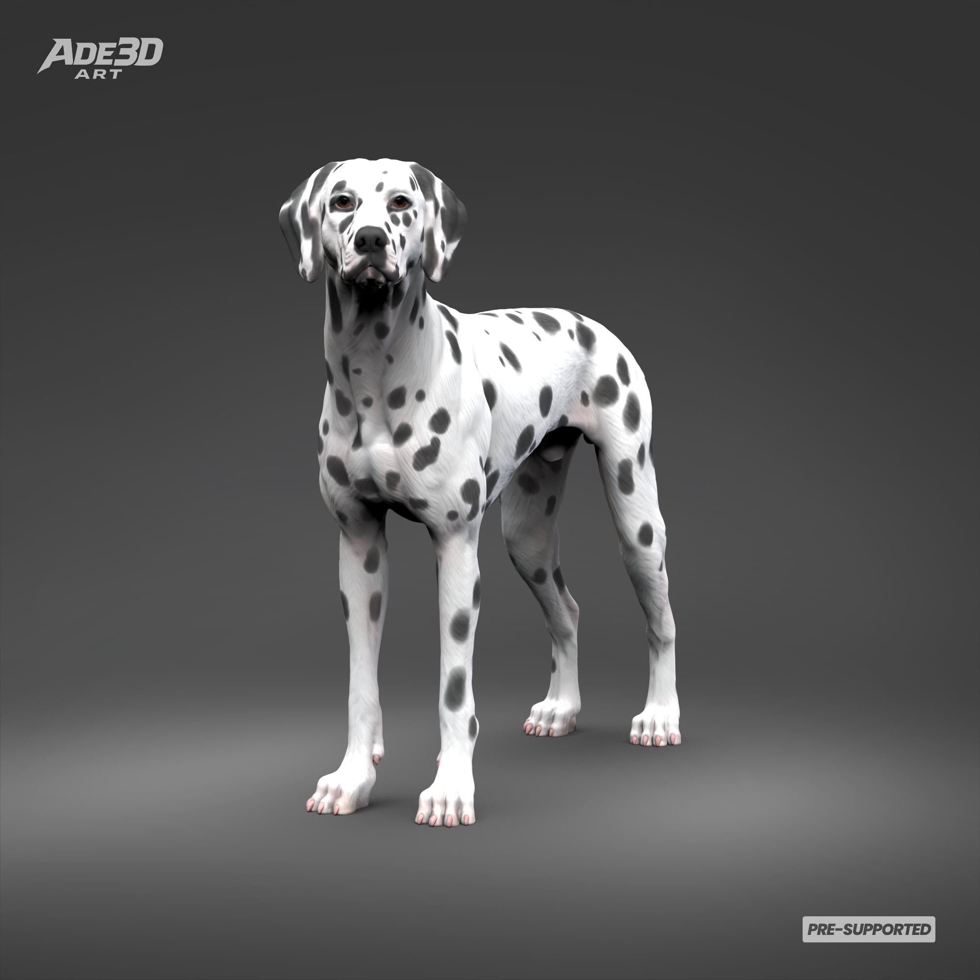 Dalmatian 3D Print Model Pose 02 3d model