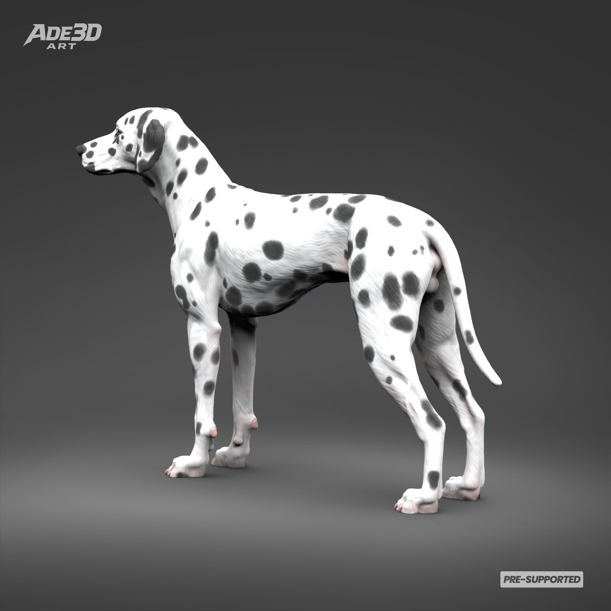 Dalmatian 3D Print Model Pose 02 3d model