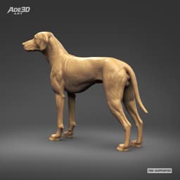 Dalmatian 3D Print Model Pose 02 3d model