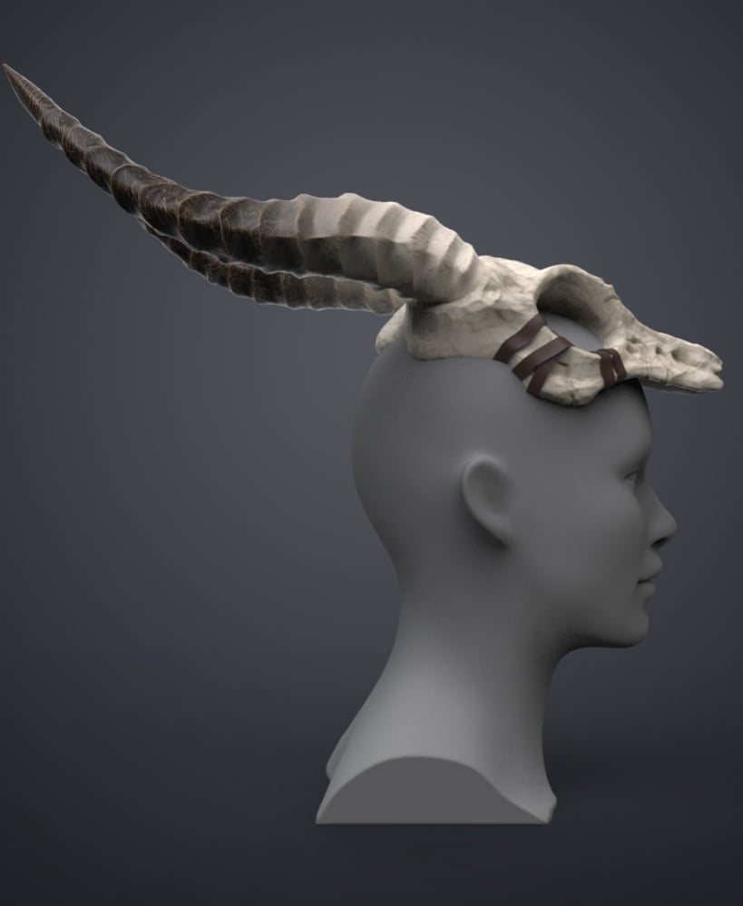 Shaman Skull with Horns 3d model
