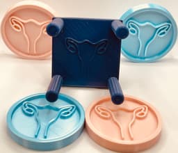 Uterus Coaster and Holder 3d model