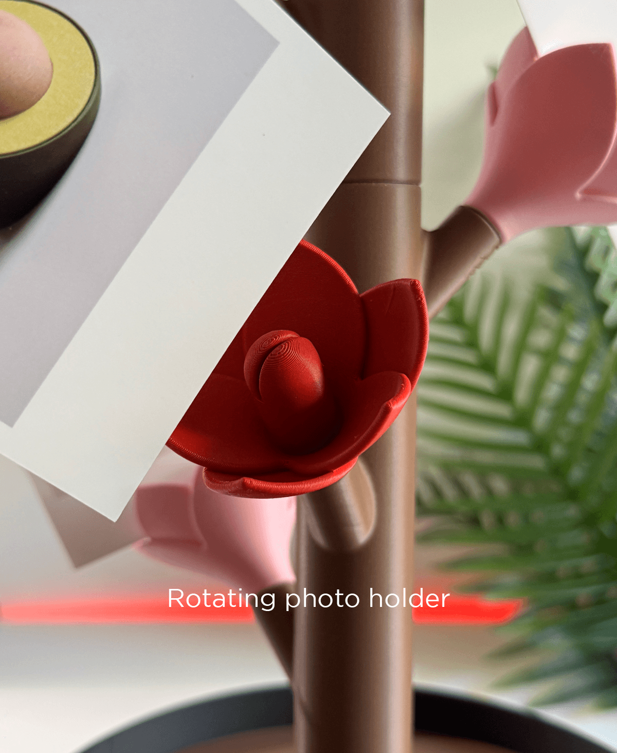 Floraroid, modular photo display stand. 3d model