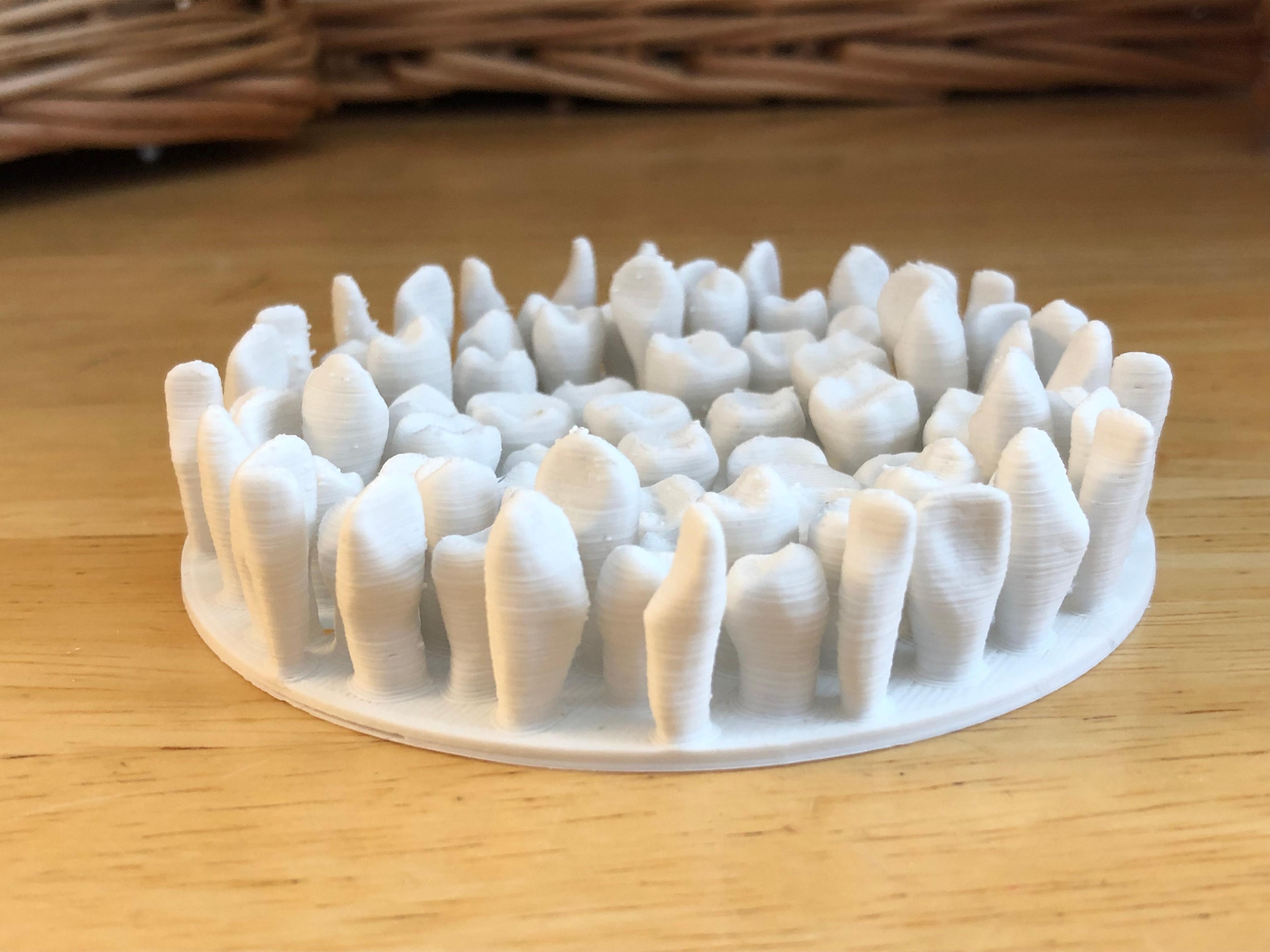 Tooth Dish 3d model
