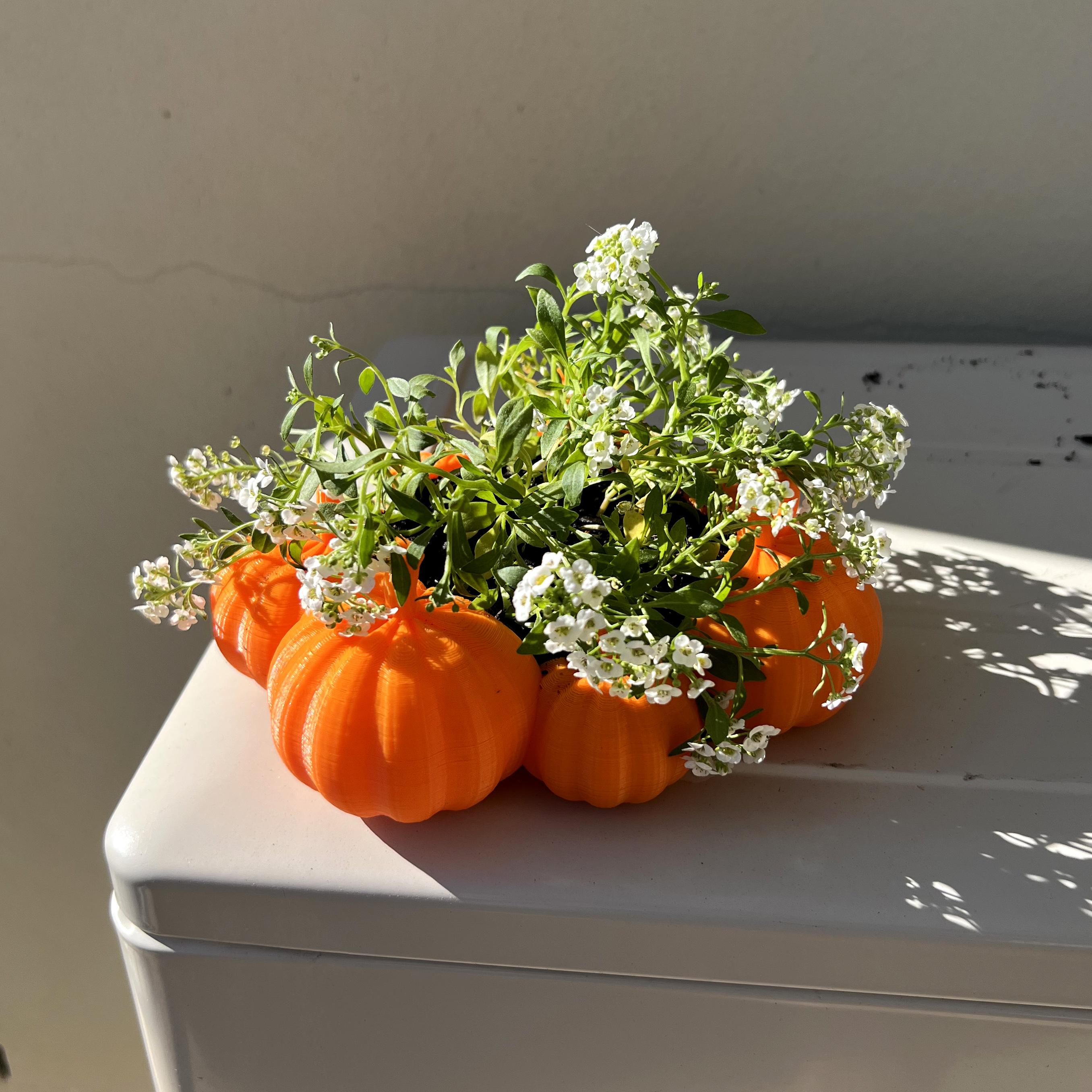 Pumpkin patch planter 3d model