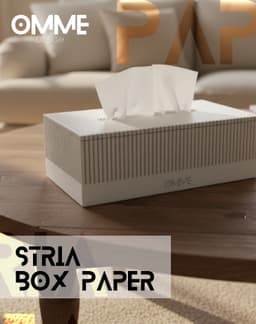 stria box paper 3d model