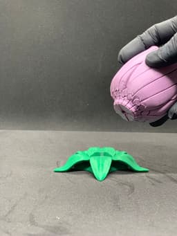 Slime Tulip - Kinetic Art & Fidget Flower (Print-in-Place) 3d model