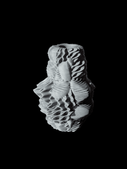 Cacophany Vase - Textured Chaos Vase 3d model