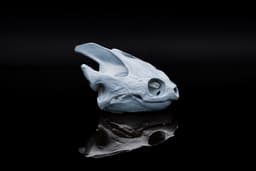 Snapping Turtle Skull 3d model