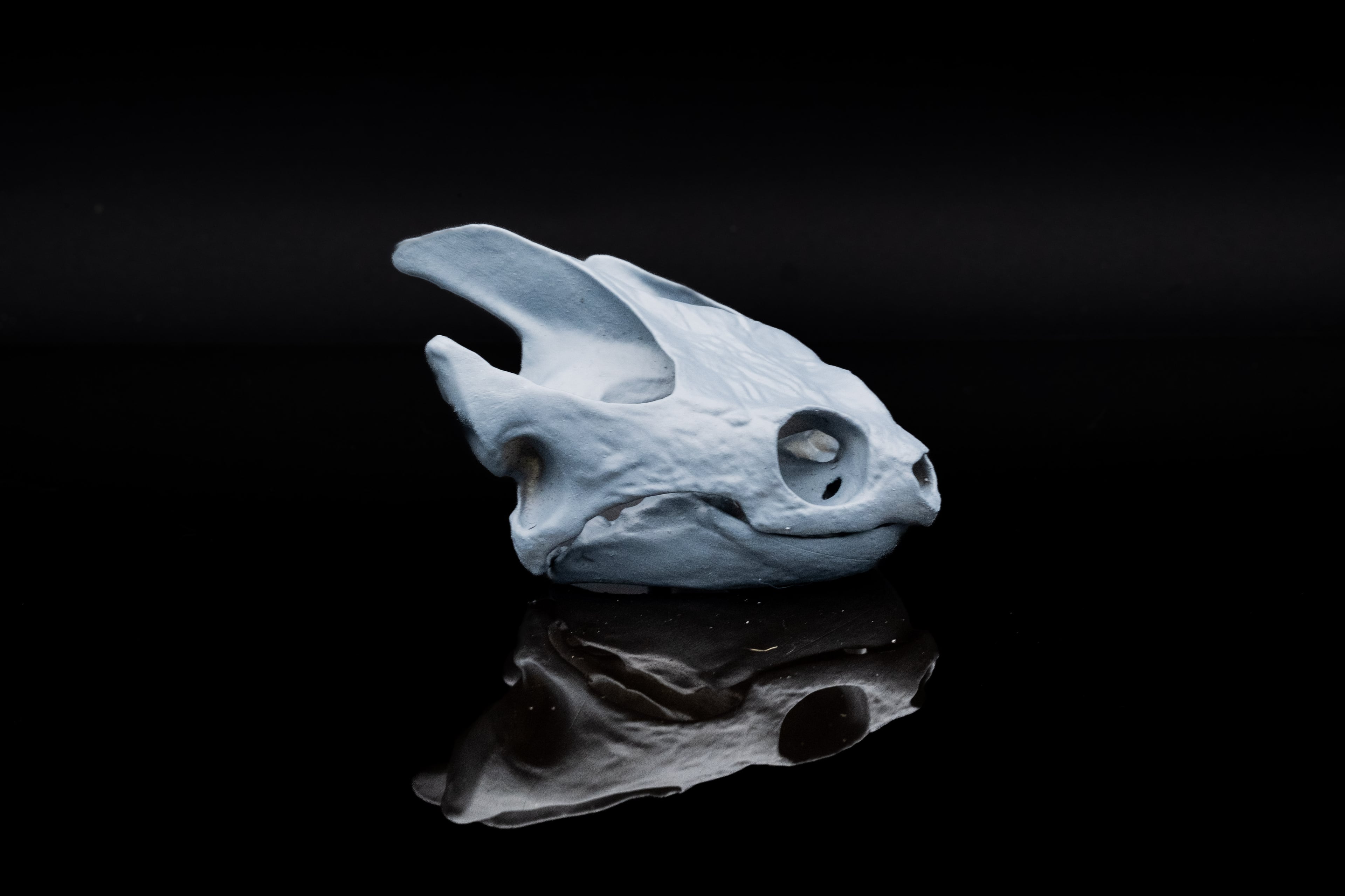 Snapping Turtle Skull 3d model