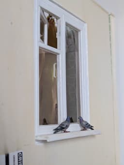 Classic Wooden Window 1/12 Scale 3d model