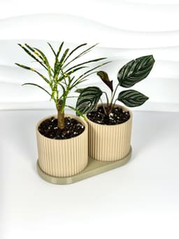 TWINDA double planter 3d model