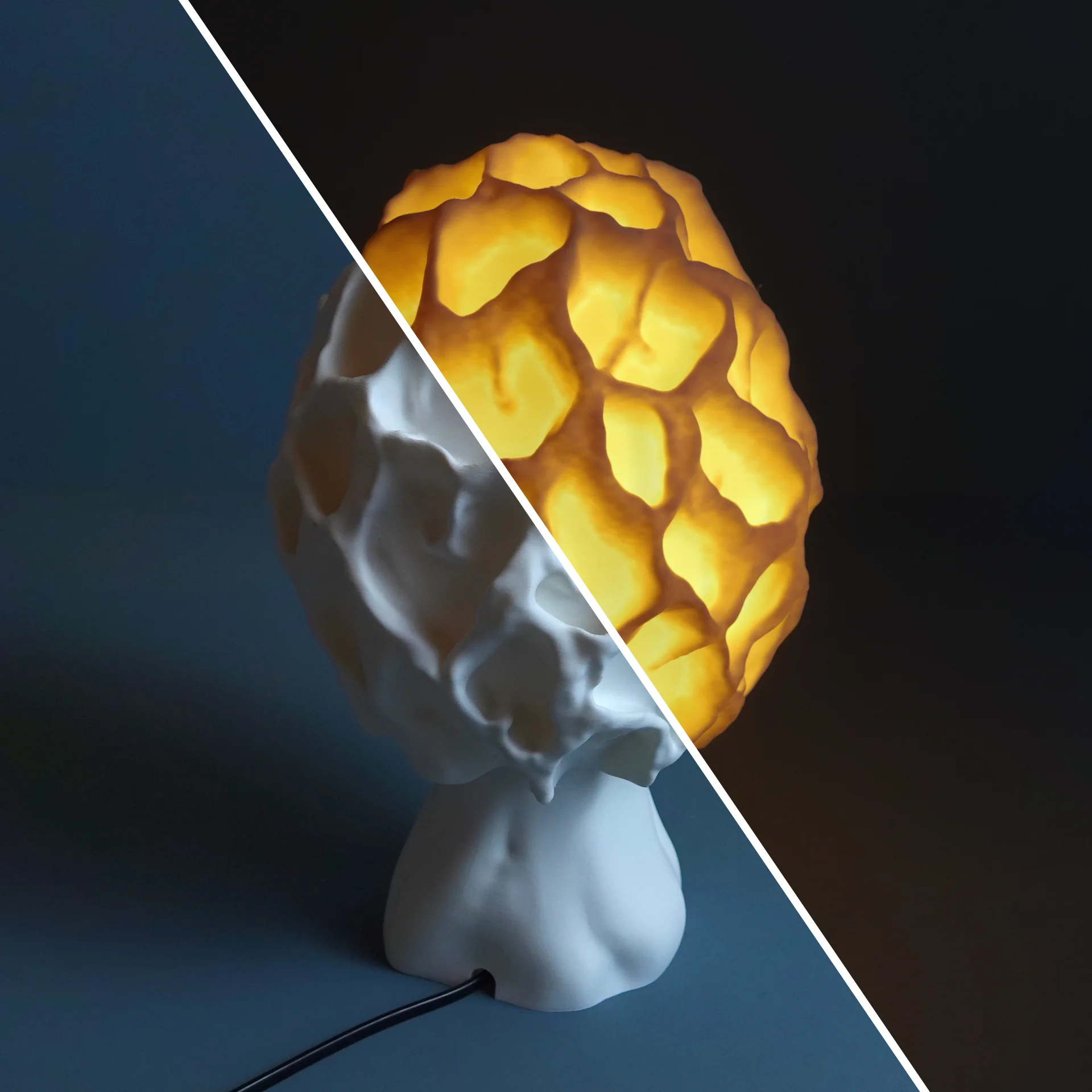 Mushroom lamp “Morchella Esculenta” 3d model