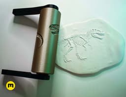 Texture Rollers โ Fossil Skeletons 3d model