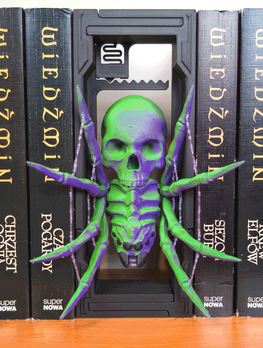 Skull Spider: Adjustable Book Nook 3d model