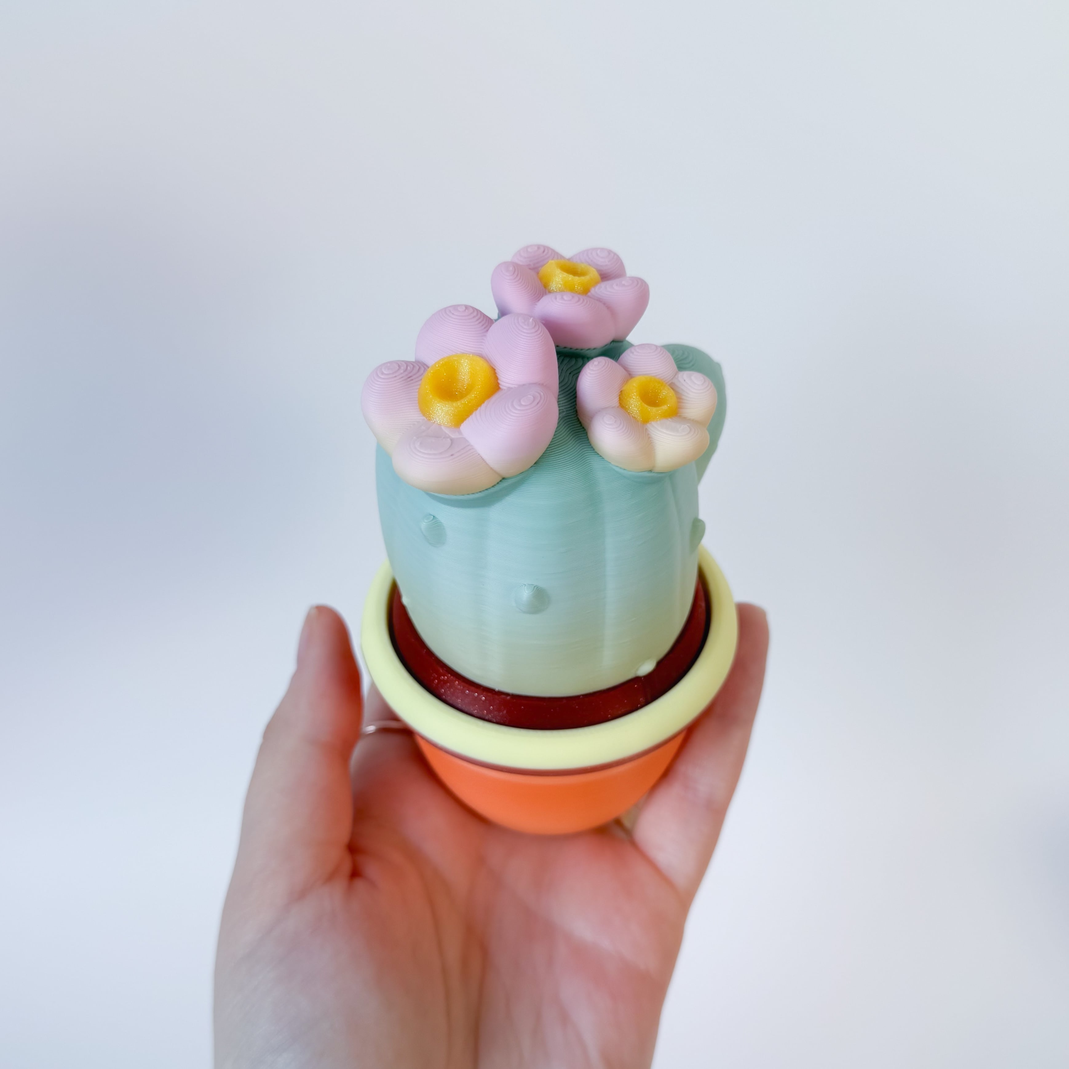 Cactus pot container and Cactus clicker 3d model