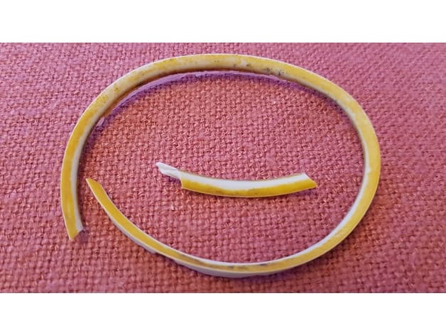 Replacement Gasket for Surefeed MBOWL Stainless Steel Cup 3d model