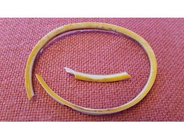 Replacement Gasket for Surefeed MBOWL Stainless Steel Cup 3d model