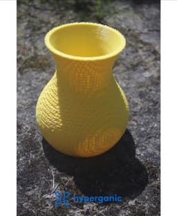 FRD TPMS Lattice Vase 3d model