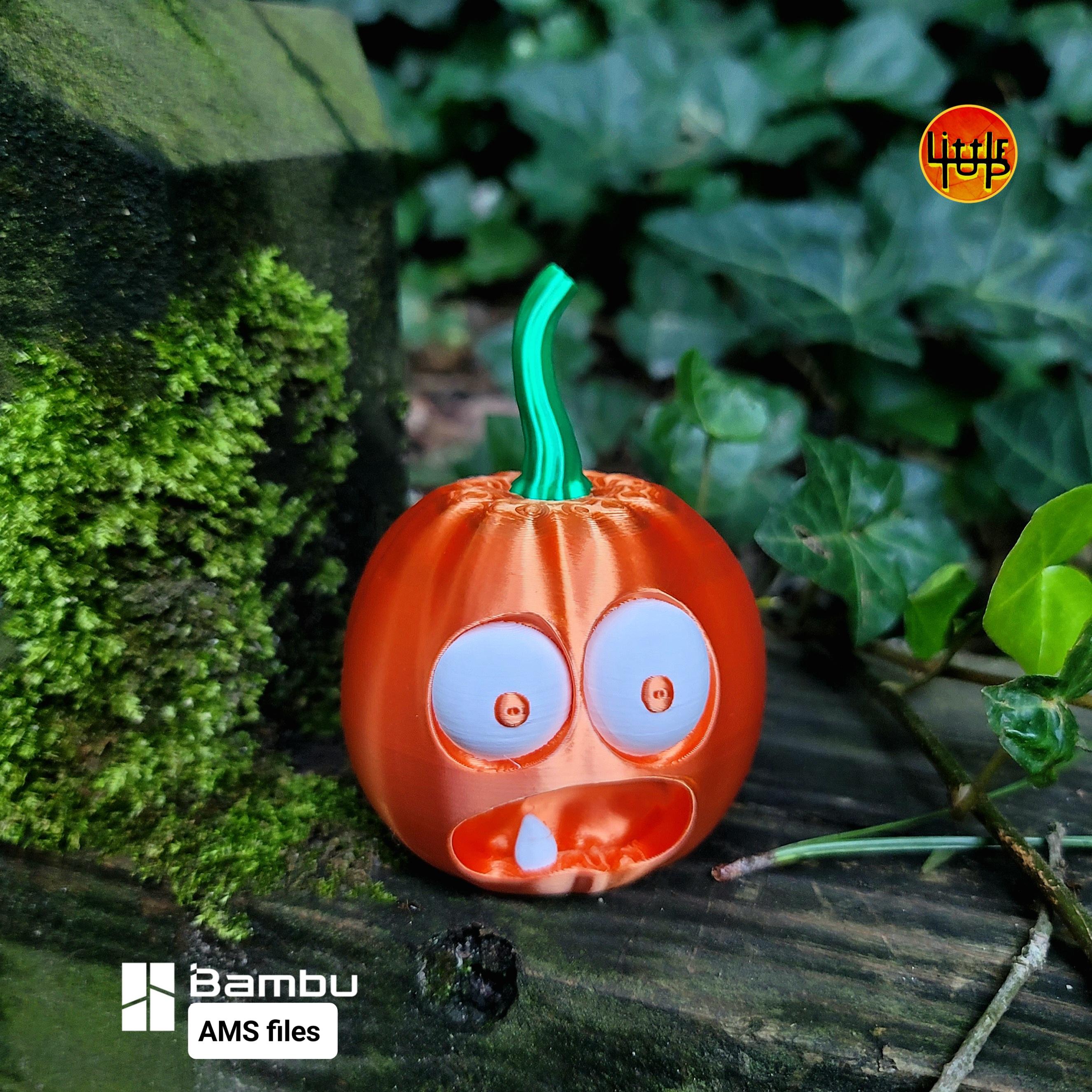 Scared pumpkin 3d model