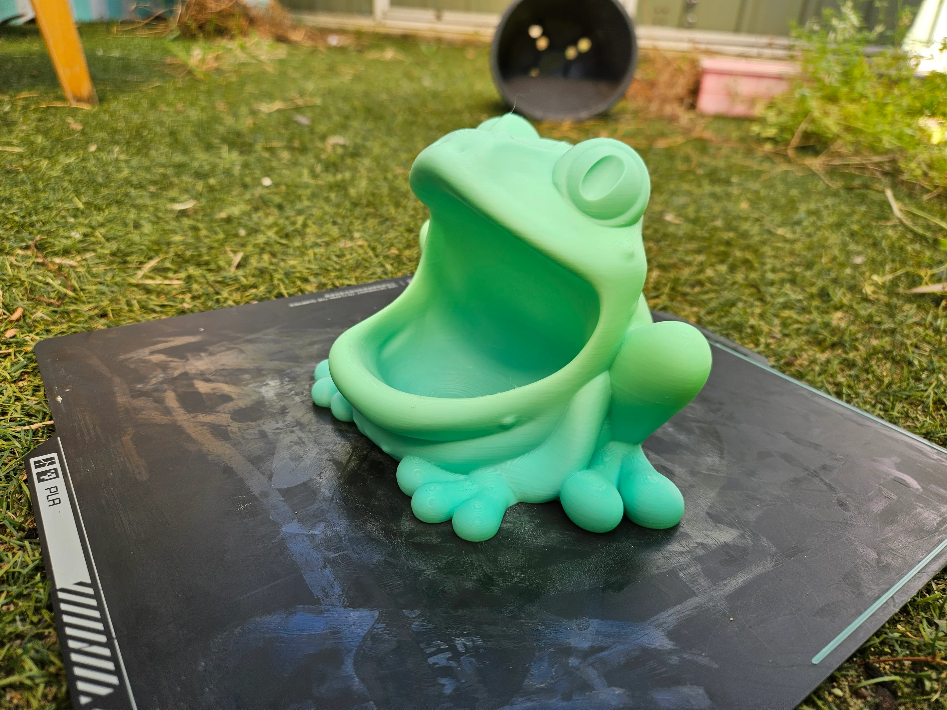 Bowl Frog 3d model