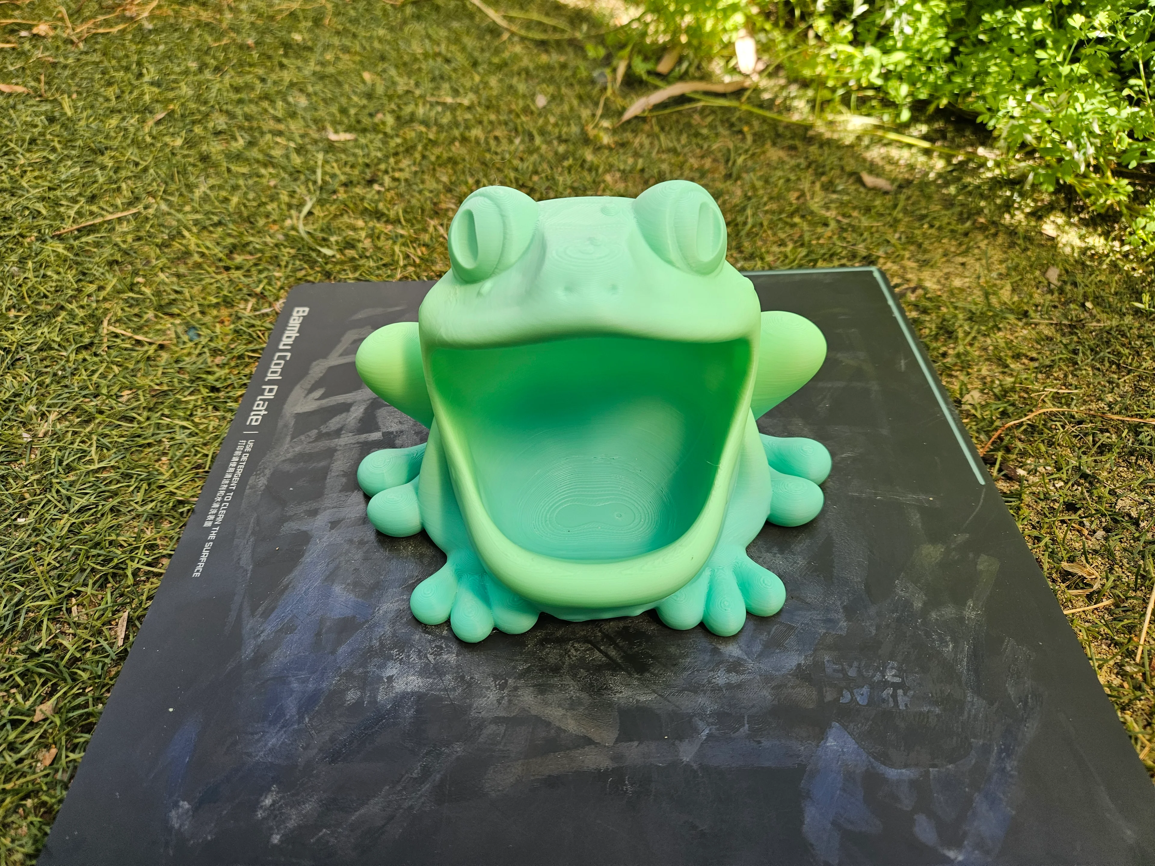 Bowl Frog 3d model