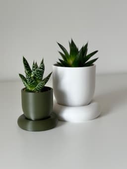 RING planter 3d model