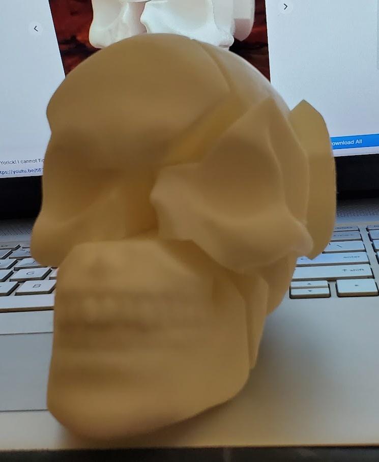 Skull Puzzle - printed with Bambu x1c... came out perfect - 3d model