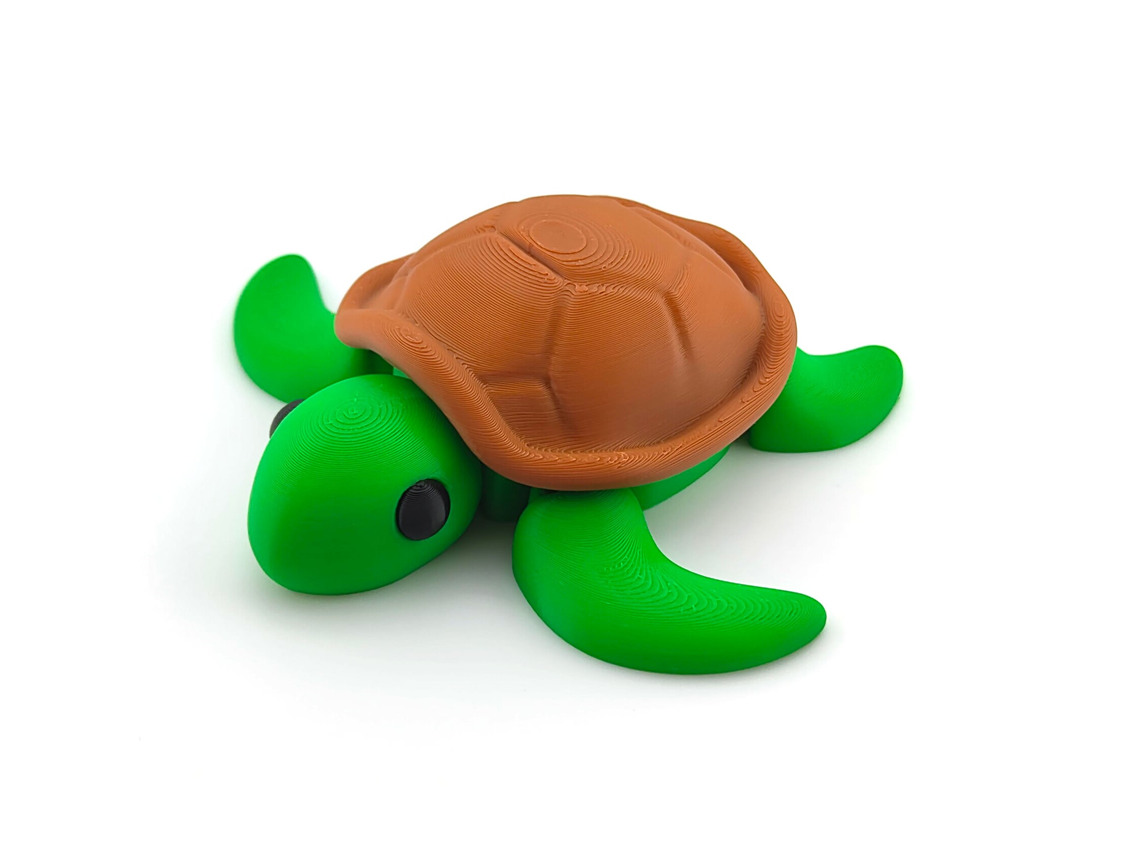 Turtle 3d model