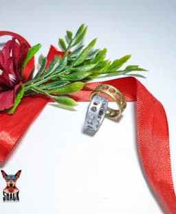 Hexagonal Ring 1. 3d model