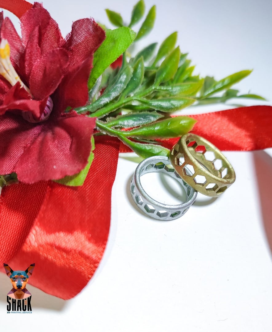 Hexagonal Ring 1. 3d model