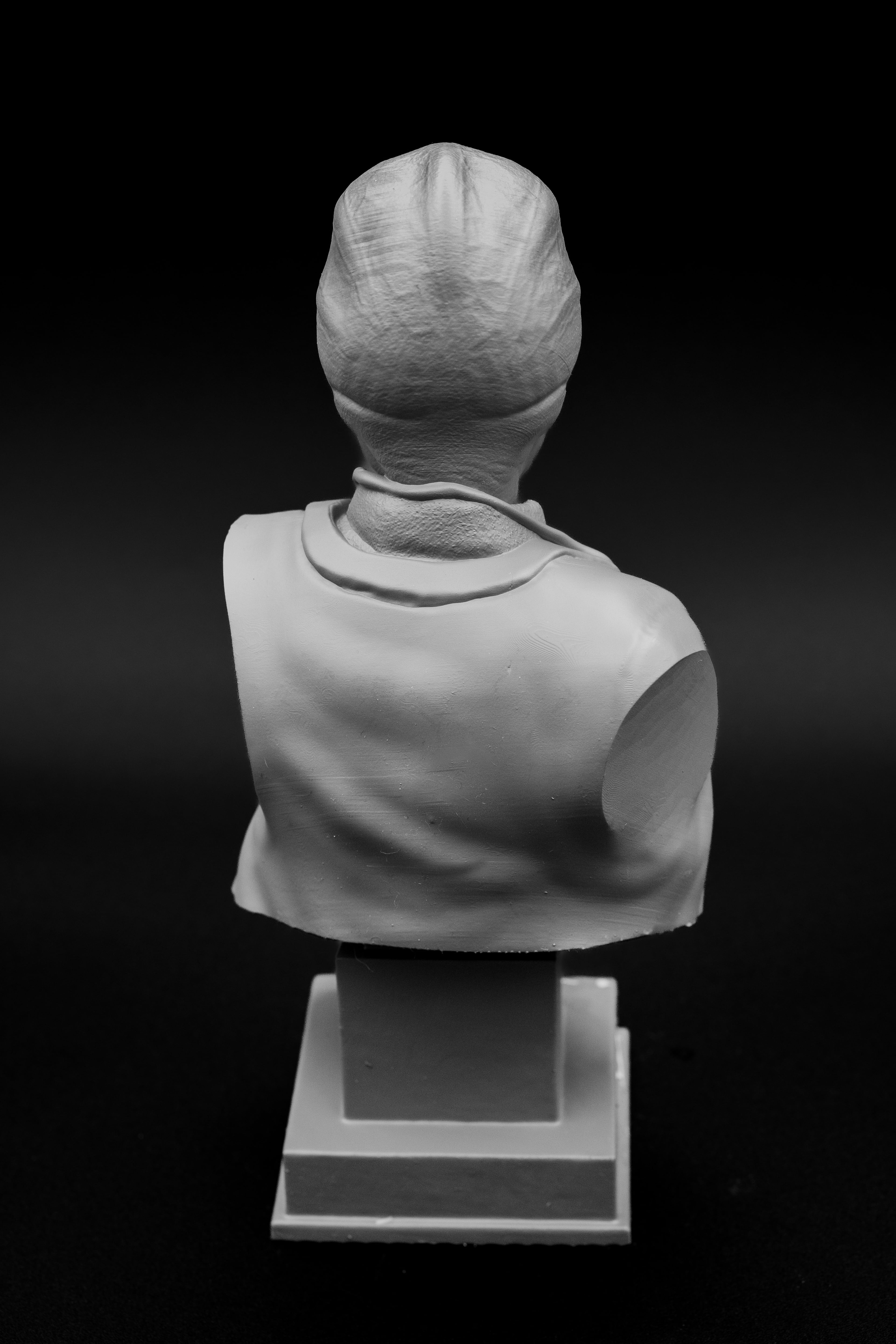 Resident Alien Bust.stl 3d model