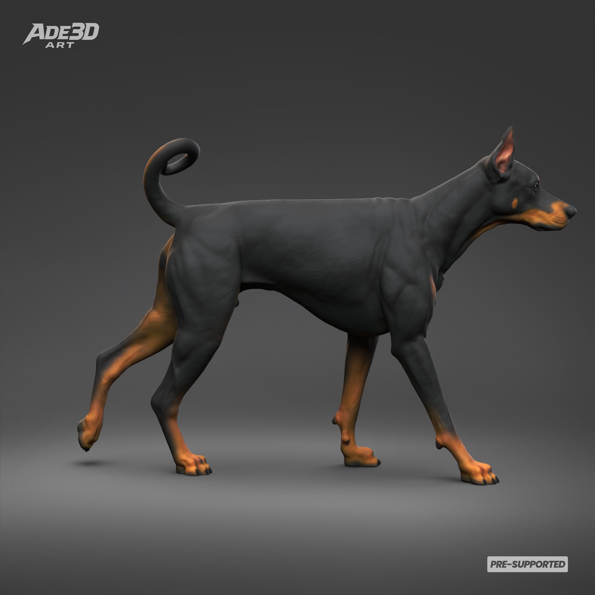 Doberman Pinscher Cropped Ears Natural Tail 3D Print Pose 02 3d model