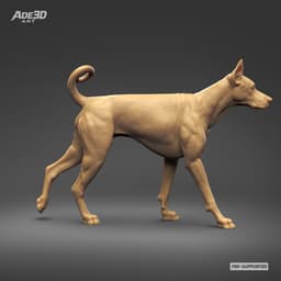 Doberman Pinscher Cropped Ears Natural Tail 3D Print Pose 02 3d model