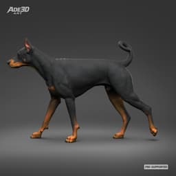 Doberman Pinscher Cropped Ears Natural Tail 3D Print Pose 02 3d model