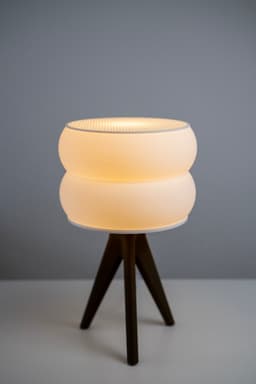 Double Infill Lamp 3d model