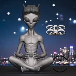 Alien FPV Pro in Our Skies - Mystery Solved 3d model