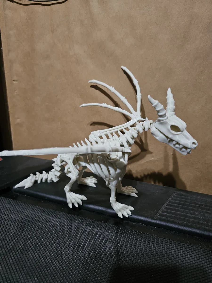 Skeleton Dragon 3d model