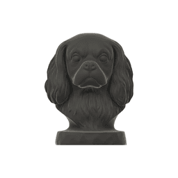 Cavalier King Charles Spaniel Dog Bust - Dog Statue - 3D Printable STL 3MF - Pet Memorial 3d model