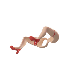 Girl Legs Glasses 3d model
