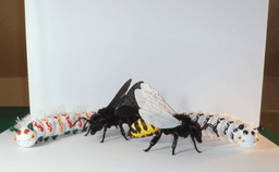 Hairify Honey Bee 3d model