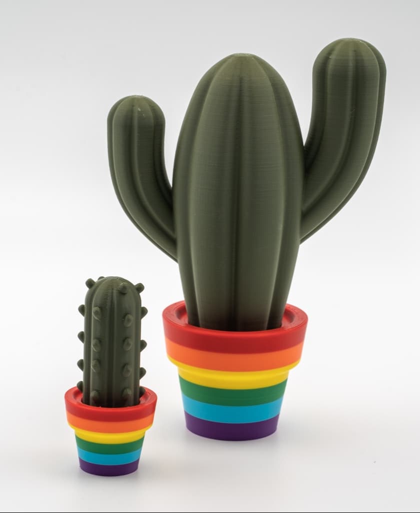 Cute Cactus Home Decor 3d model