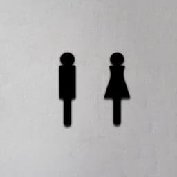 Toilet Sign 3d model